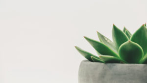 Cue Counseling | Lakeland, FL | Chaos To Clarity | Deborah Boynton