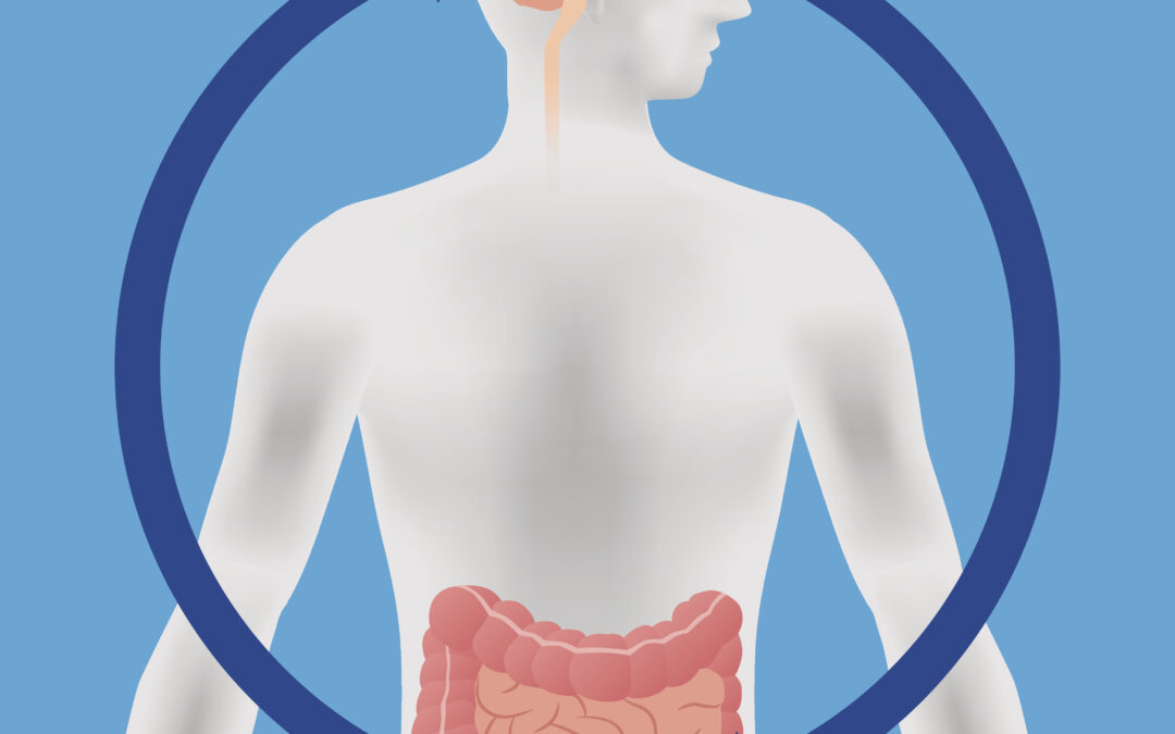 How Diet Can Impact Our Mental Health