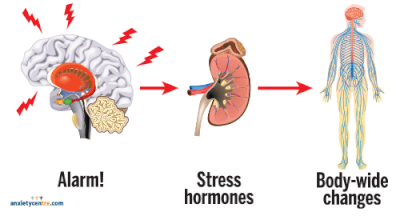 How Mental Health Impacts the Nervous System